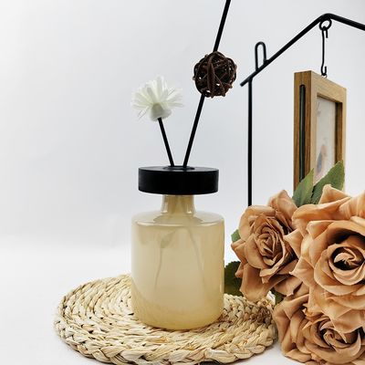 Glass Bottle for Aromatherapy 50ml/100ml/200ml Capacity Glass Material Reed Diffusion